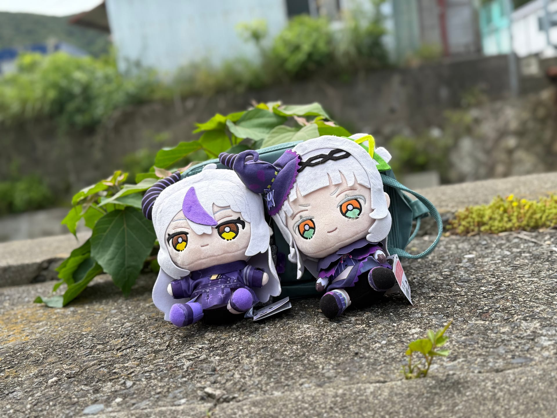 対馬で遊んだ